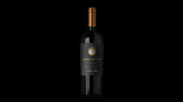 Carmenere Secret Reserve Santa Rita