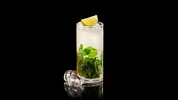 Mojito