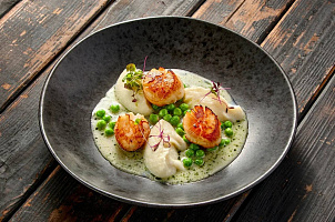 Дальневосточный гребешок с пюре из цветной капусты